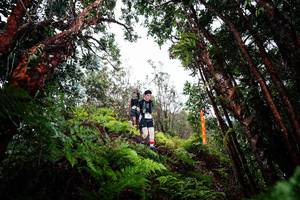 BIB: 
                            <button type="button" onclick="openModal(26202432)" class="btn btn-primary btn-sm float-right btn-popup" data-toggle="modal" data-target=".modal-high-quality">
                        <i class="fas fa-shopping-cart"></i> Add to Cart
                    </button>
                                            <button type="button" onclick="isThisMe(26202432, true)" class="btn btn-success btn-sm float-right btn-popup btn-isme hidden" data-toggle="tooltip" data-placement="bottom" title="นี่คือรูปของคุณใช่ไหม คลิกที่นี่เพื่อเอาเข้าอัลบั้ม">
                        <i class="fas fa-plus"></i> Add to album
                    </button>
                    <button type="button" onclick="isThisMe(26202432, false)" class="btn btn-warning btn-sm float-right btn-popup btn-isnotme hidden">
                        <i class="fas fa-ban"></i> Remove from album
                    </button>